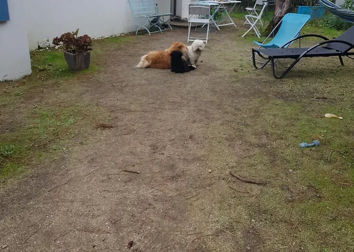 Les Lauriers Roses Prázdninový dům